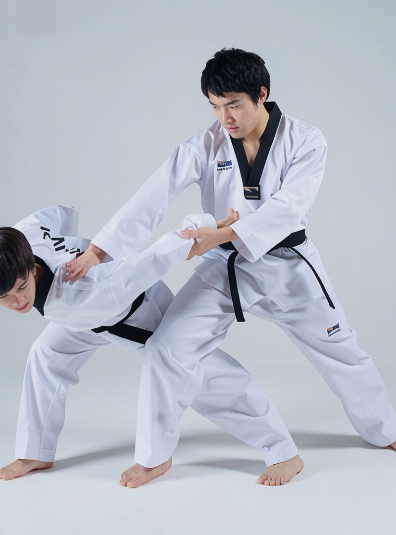 Hoshinsul( Self Defense)