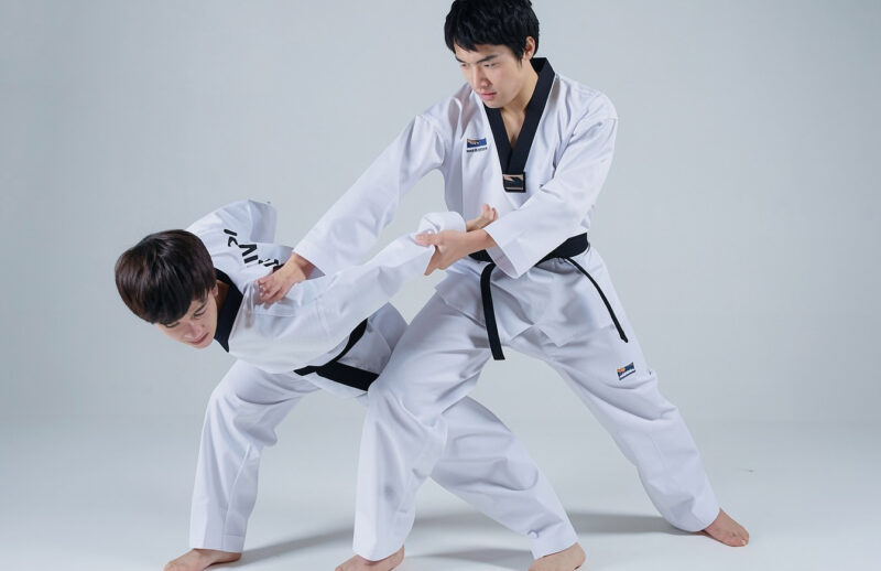 Hoshinsul( Self Defense)